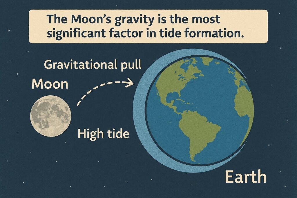 Causes of Oceanic Tides