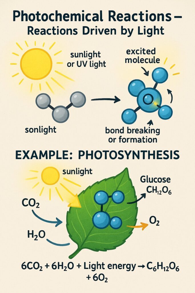 Chemical Reaction in Photosynthesis