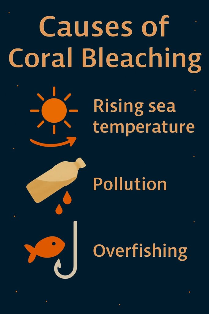 Causes of Coral Bleaching