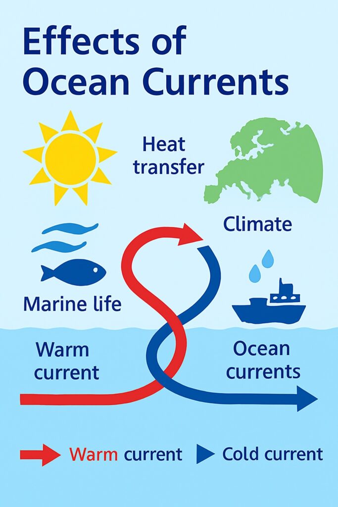 Effects of Ocean Currents