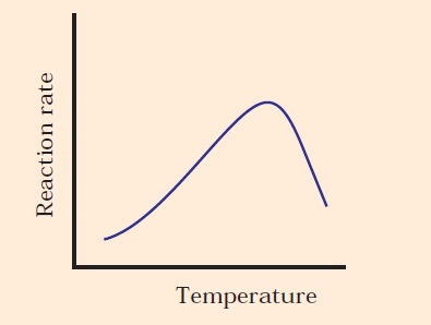 Enzyme Catalysed Reaction