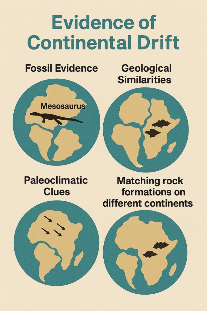 Evidence of Continental Drift