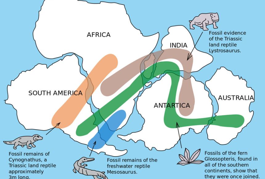 Fossil Evidence