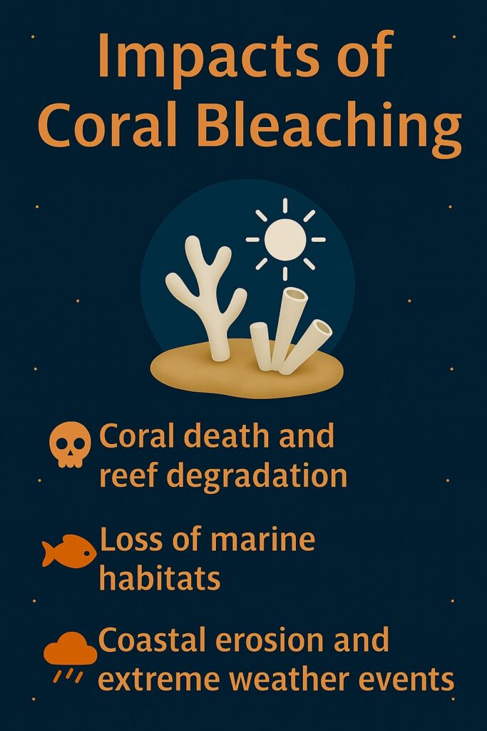Impacts of Coral Bleaching