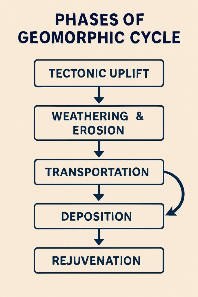 Phases of Rejuvenation
