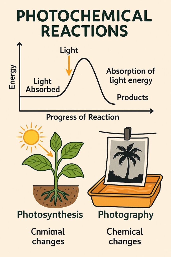 Photochemical Reaction