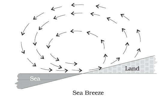 Sea Breeze