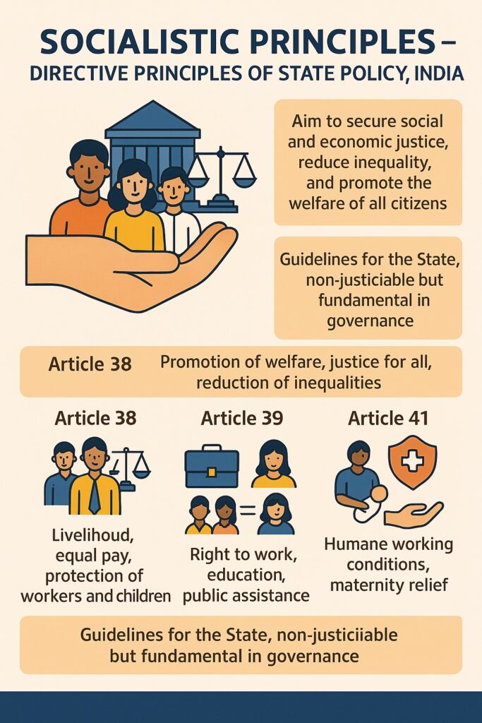 Socialist Principles of DPSP