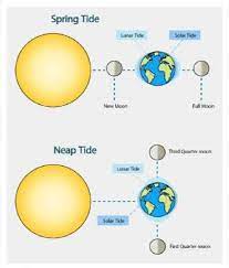 Spring Tide and Neap Tide