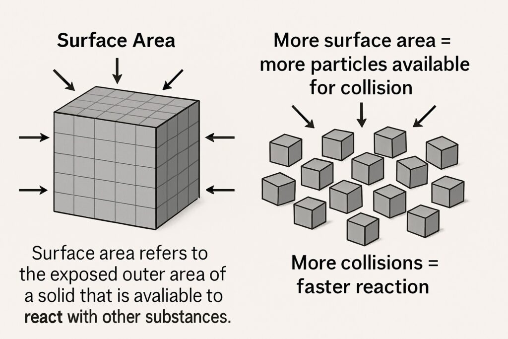 Surface Area and Chemical Reaction
