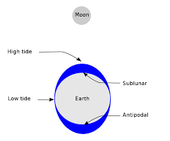 oceanic tide Class 11 Geography NCERT Solutions Chapter 14