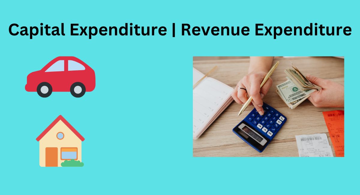 Capital Expenditure and Revenue Expenditure