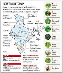 Millet Production in India