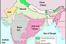 Alluvial Soil in India