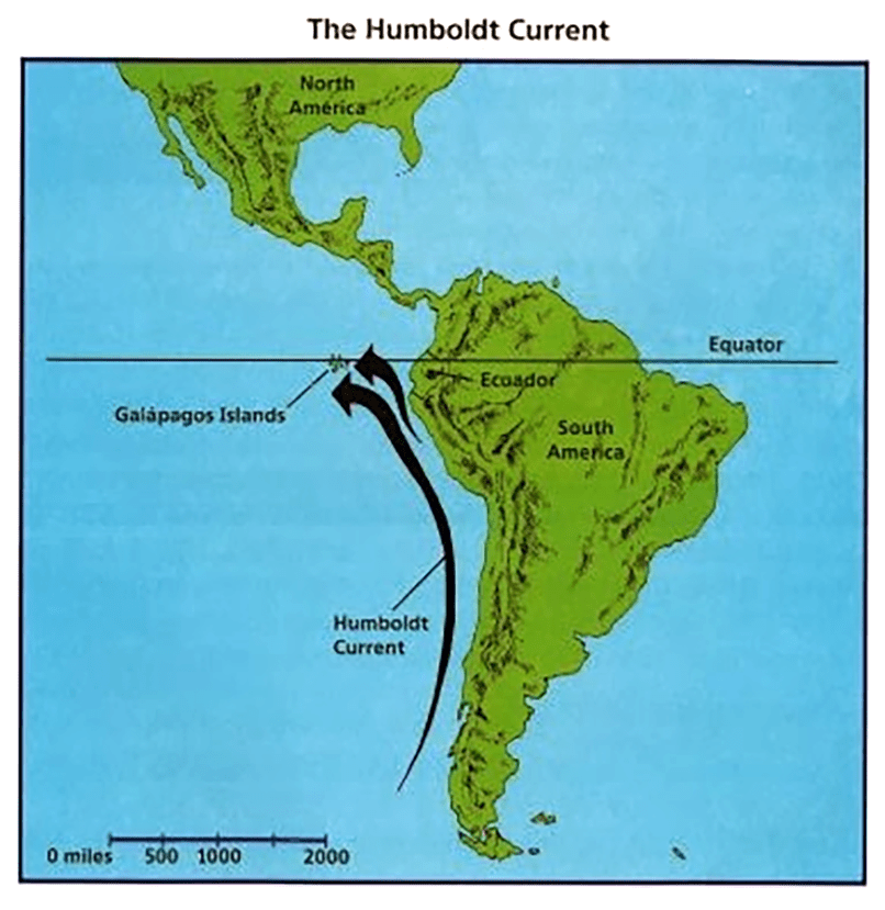 Humboldt Current