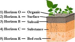 Soil Profile