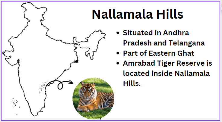 Nallamala Hills 1
