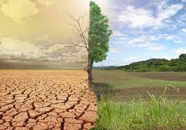 Climate of Haryana