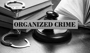 Organized Crimes Discuss the types of organised crimes. Describe the linkages between terrorists and organised crime that exist at the national and transnational levels.