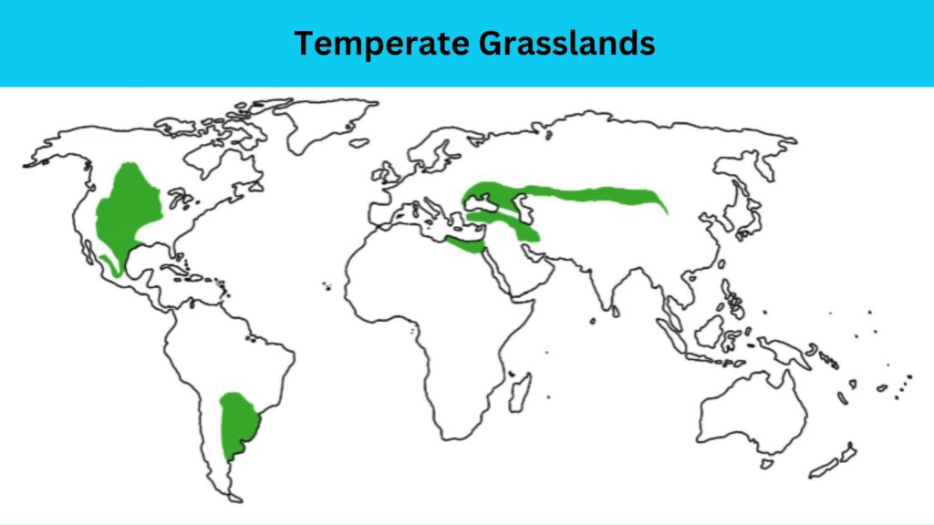 Temperate Grasslands in the World