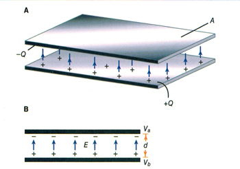 Parallel Plate Capacitor