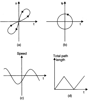 xt Graph