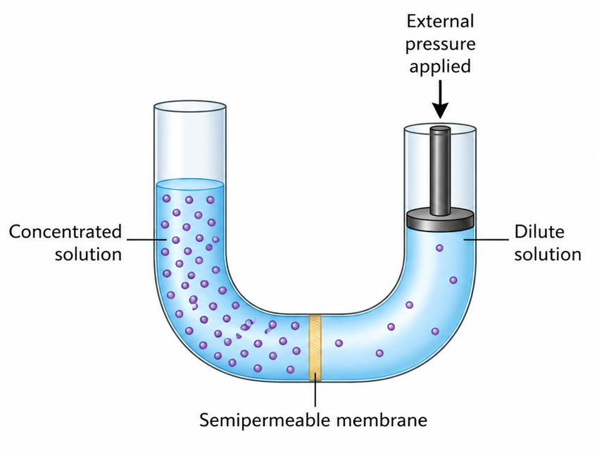 Reverse Osmosis