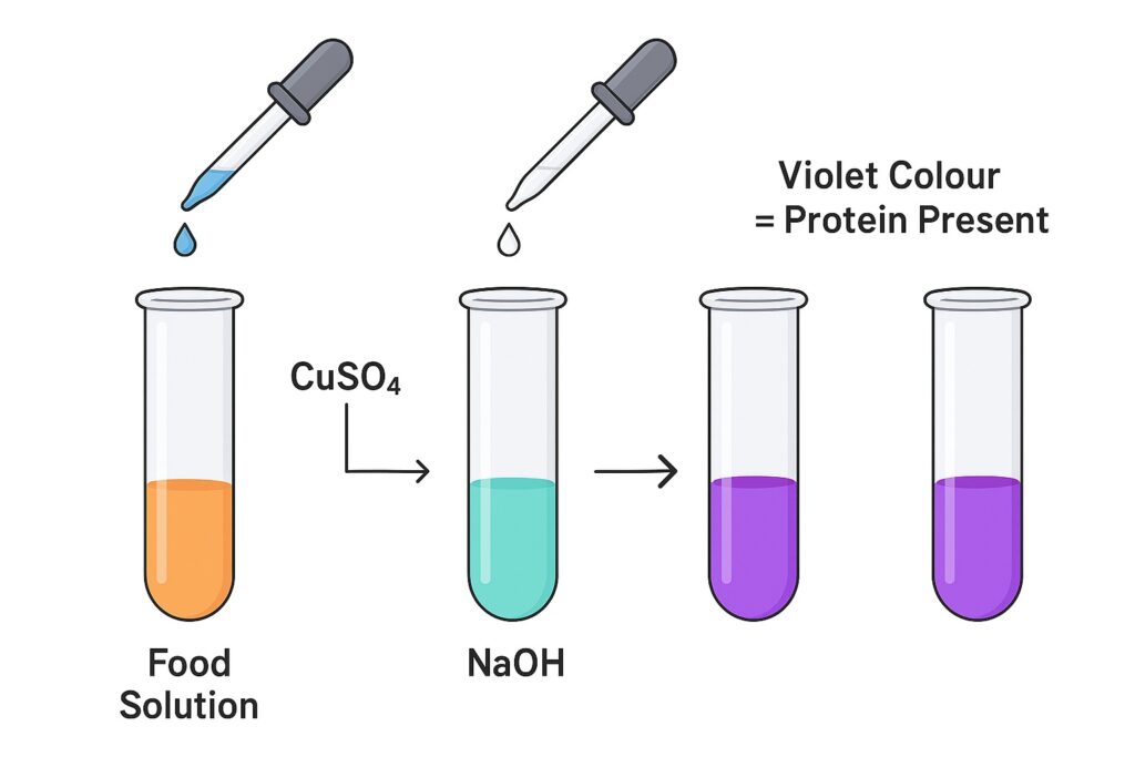 Test of Presence of Protein