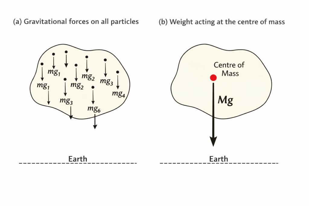 Gravitational Force on Particle