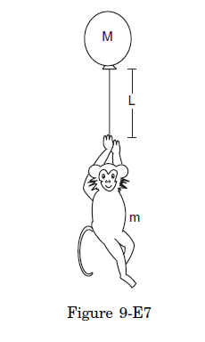 Q14 Monkey