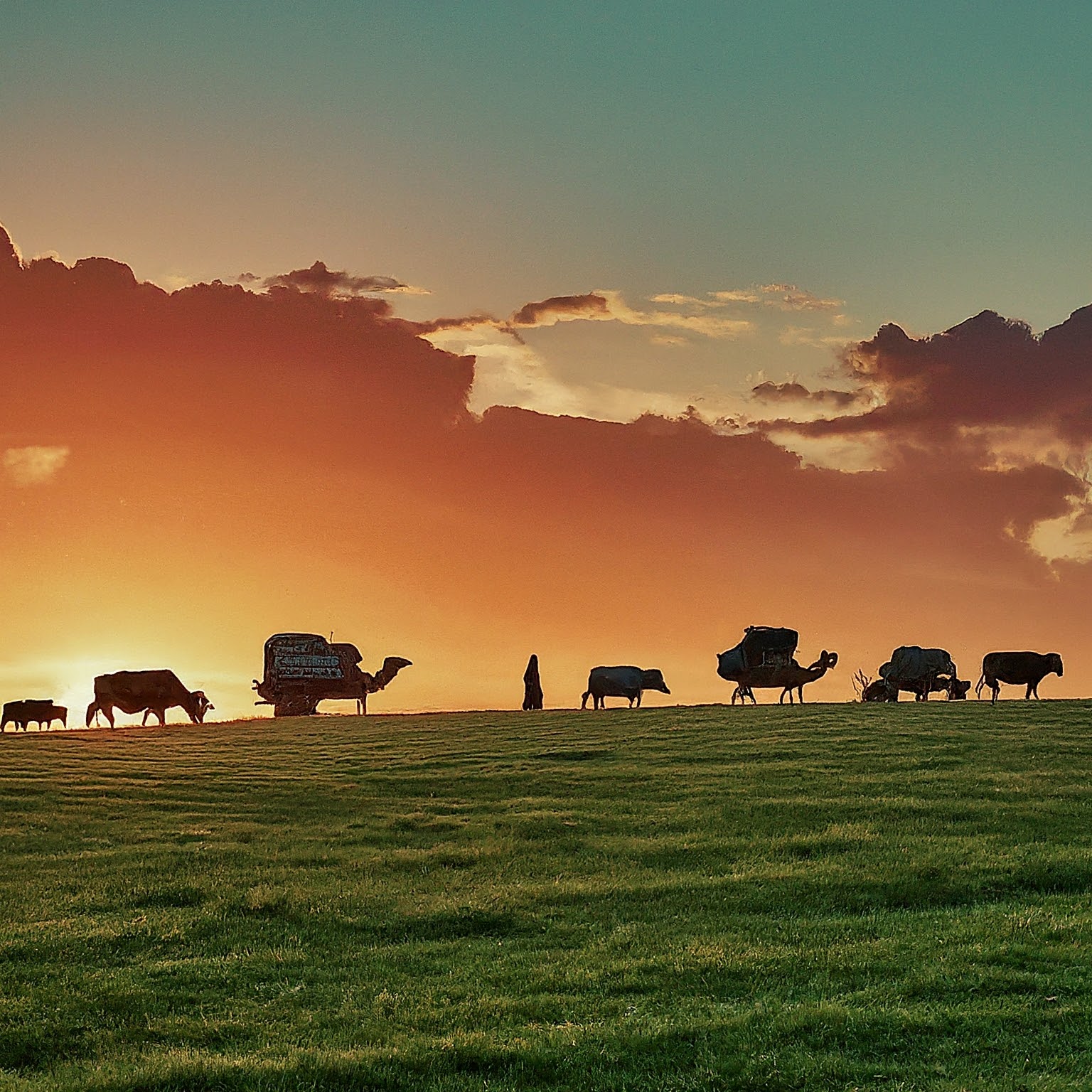 What is Migration? - Licchavi Lyceum